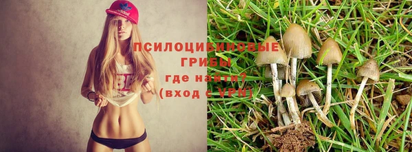 mdpv Верхний Тагил