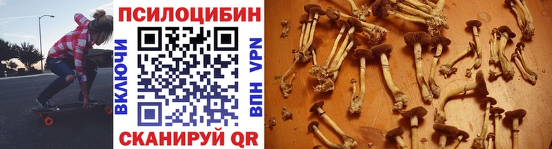 Купить где  Волжск  Псилоцибиновые грибы MAGIC MUSHROOMS 