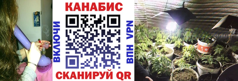 Купить закладки  Волжск  МАРИХУАНА марихуана 